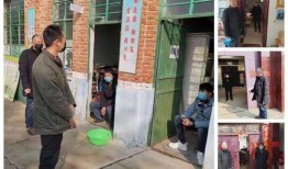 桐寨铺最新爆料,揭秘神秘事件背后的真相