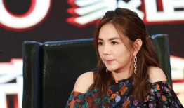 杨惠婷事件爆料最新消息,揭秘背后惊人内幕